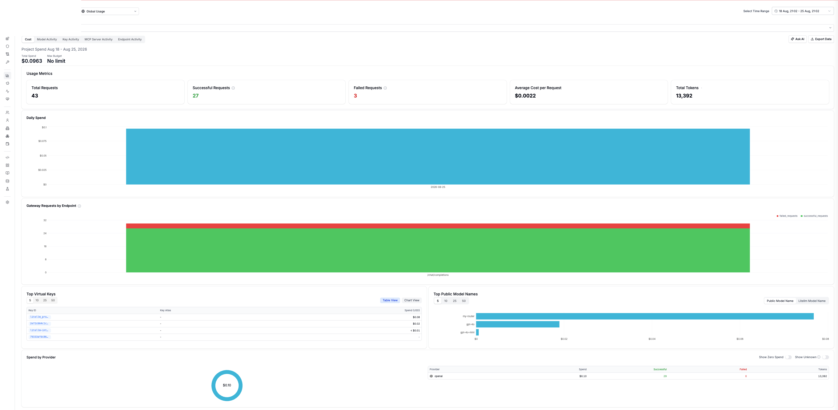 LiteLLM usage dashboard